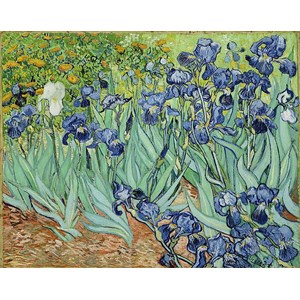 Piatnik (5331) - Vincent van Gogh: "Iris" - 1000 brikker puslespil