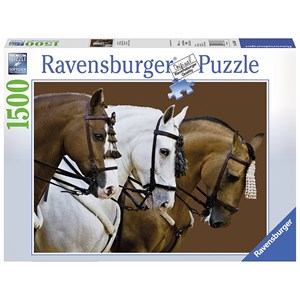 Ravensburger (16339) - "Fortune's Dream" - 1500 brikker puslespil