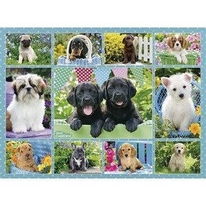Ravensburger (14708) - "Pruning Dogs" - 500 brikker puslespil