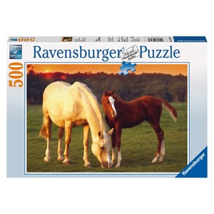 Ravensburger (14347) - "Beautiful Horses" - 500 brikker puslespil