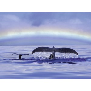 Ravensburger (14664) - "Peaceful Moment" - 500 brikker puslespil