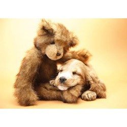 Tactic (40912) - "Puppy and A Teddy" - 1000 brikker puslespil