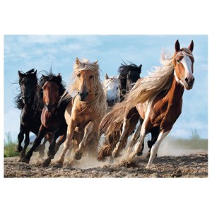 Trefl (10446) - "Galoperende hester" - 1000 brikker puslespil