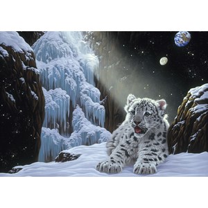 Grafika (02423) - Schim Schimmel, William Schimmel: "Ice House" - 1000 brikker puslespil