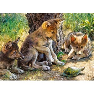 Castorland (B-27385) - "The Shell Game" - 260 brikker puslespil