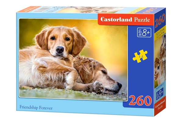 Castorland (B-27361) - "Friendship Forever" - 260 brikker puslespil