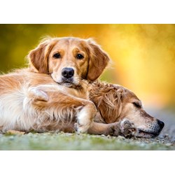 Castorland (B-27361) - "Friendship Forever" - 260 brikker puslespil