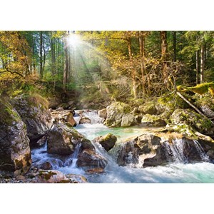 Castorland (C-200382) - "Stream in the Forest" - 2000 brikker puslespil