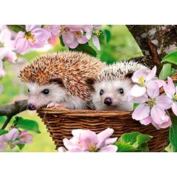 Castorland (B-13319) - "Springtime" - 120 brikker puslespil