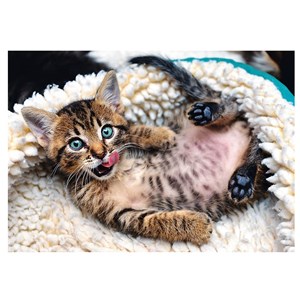 Trefl (10448) - "Cheerful Kitten" - 1000 brikker puslespil