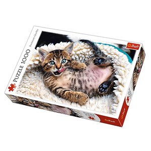 Trefl (10448) - "Cheerful Kitten" - 1000 brikker puslespil