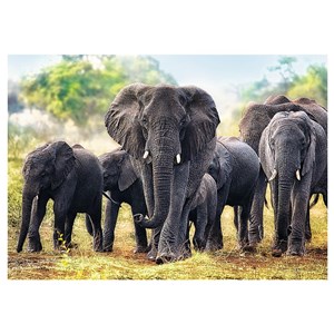 Trefl (10442) - "African Elephants" - 1000 brikker puslespil