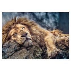 Trefl (10447) - "Sleeping Lion" - 1000 brikker puslespil