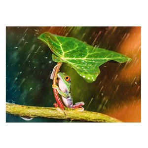 Trefl (37288) - "Green Umbrella" - 500 brikker puslespil