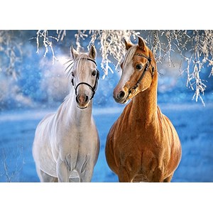 Castorland (B-27378) - "The Winter Horses" - 260 brikker puslespil