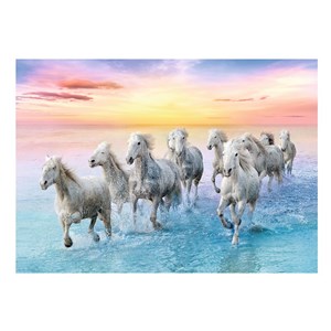 Trefl (37289) - "Galloping White Horses" - 500 brikker puslespil