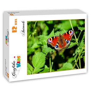 Grafika Kids (01230) - "Butterfly" - 12 brikker puslespil