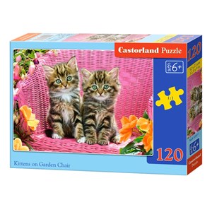 Castorland (B-13357) - "Kittens" - 120 brikker puslespil
