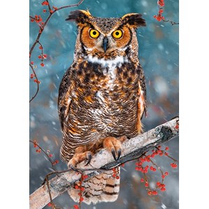 Castorland (B-27347) - "Great Horned Owl" - 260 brikker puslespil