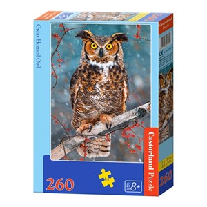 Castorland (B-27347) - "Great Horned Owl" - 260 brikker puslespil