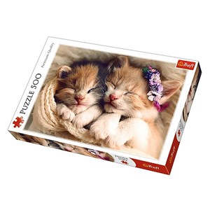 Trefl (37271) - "Sleeping kittens" - 500 brikker puslespil