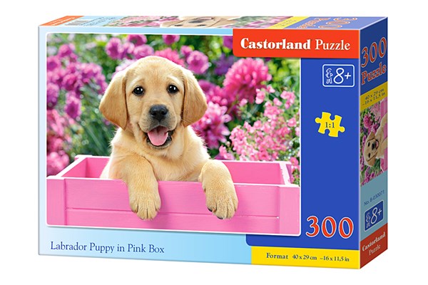 Castorland (B-030071) - "Labrador Puppy in Pink Box" - 300 brikker puslespil