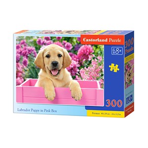Castorland (B-030071) - "Labrador Puppy in Pink Box" - 300 brikker puslespil