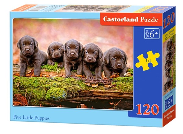 Castorland (B-13418) - "Puppies" - 120 brikker puslespil