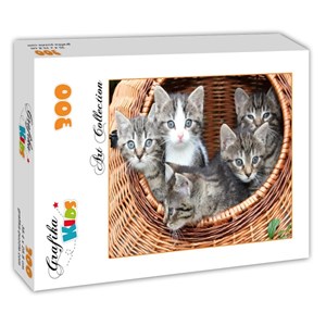 Grafika Kids (00520) - "Kittens in a Basket" - 300 brikker puslespil