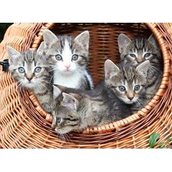 Grafika Kids (00520) - "Kittens in a Basket" - 300 brikker puslespil