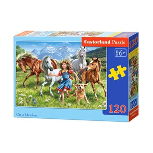 Castorland (B-13029) - "The girl and the horses in meadow" - 120 brikker puslespil