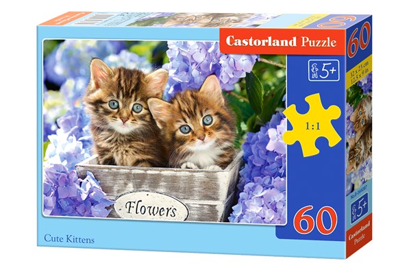 Castorland (B-066087) - "Kitten" - 60 brikker puslespil