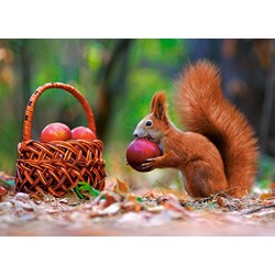 Castorland (B-13302) - "Squirrel's Supplies" - 120 brikker puslespil