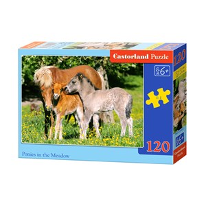Castorland (B-12909) - "Ponies in grassland" - 120 brikker puslespil