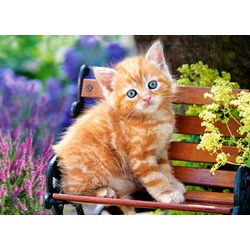 Castorland (B-018178) - "Ginger Kitten" - 180 brikker puslespil