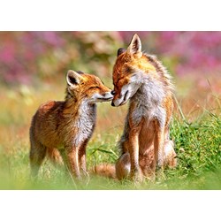 Castorland (B-13241) - "Little Fox and His Mum" - 120 brikker puslespil