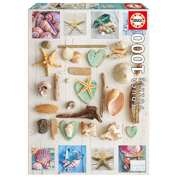 Educa (17658) - "Seashells collage" - 1000 brikker puslespil