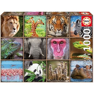 Educa (17656) - "Collage med vilde dyr" - 1000 brikker puslespil
