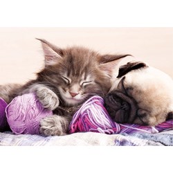 Educa (17644) - "Dream companions" - 500 brikker puslespil