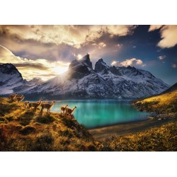 Heye (29815) - Alexander von Humboldt: "Guanacos" - 1000 brikker puslespil