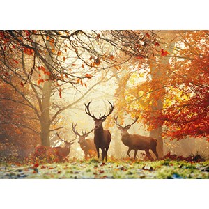 Heye (29805) - Alex Aberi: "Stags" - 1000 brikker puslespil