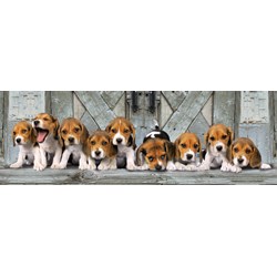 Clementoni (39076) - "Beagles" - 1000 brikker puslespil