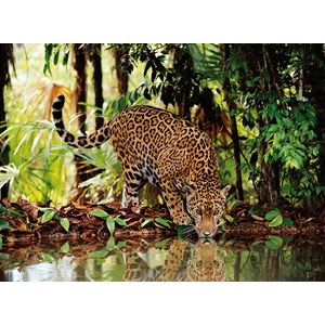 Clementoni (32537) - "Leopard" - 2000 brikker puslespil