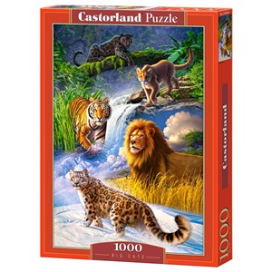 Castorland (C-103553) - "Big Cats" - 1000 brikker puslespil