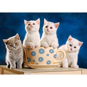 Castorland (B-52608) - "Looking for Milk" - 500 brikker puslespil