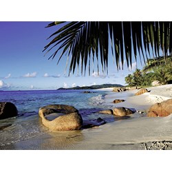 Ravensburger (19018) - "Behind the Palm Trees" - 1000 brikker puslespil