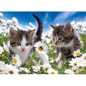 Ravensburger (10612) - "Kitty and Daisies" - 100 brikker puslespil
