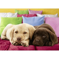 Ravensburger (19115) - "Nice and Warm" - 1000 brikker puslespil