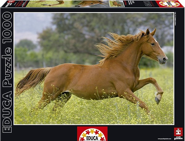 Educa (15522) - "At Full Gallop" - 1000 brikker puslespil
