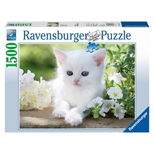 Ravensburger (16243) - "White kitten" - 1500 brikker puslespil